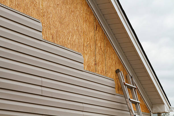 Professional Siding Contractor technician working in Church Hill, TN